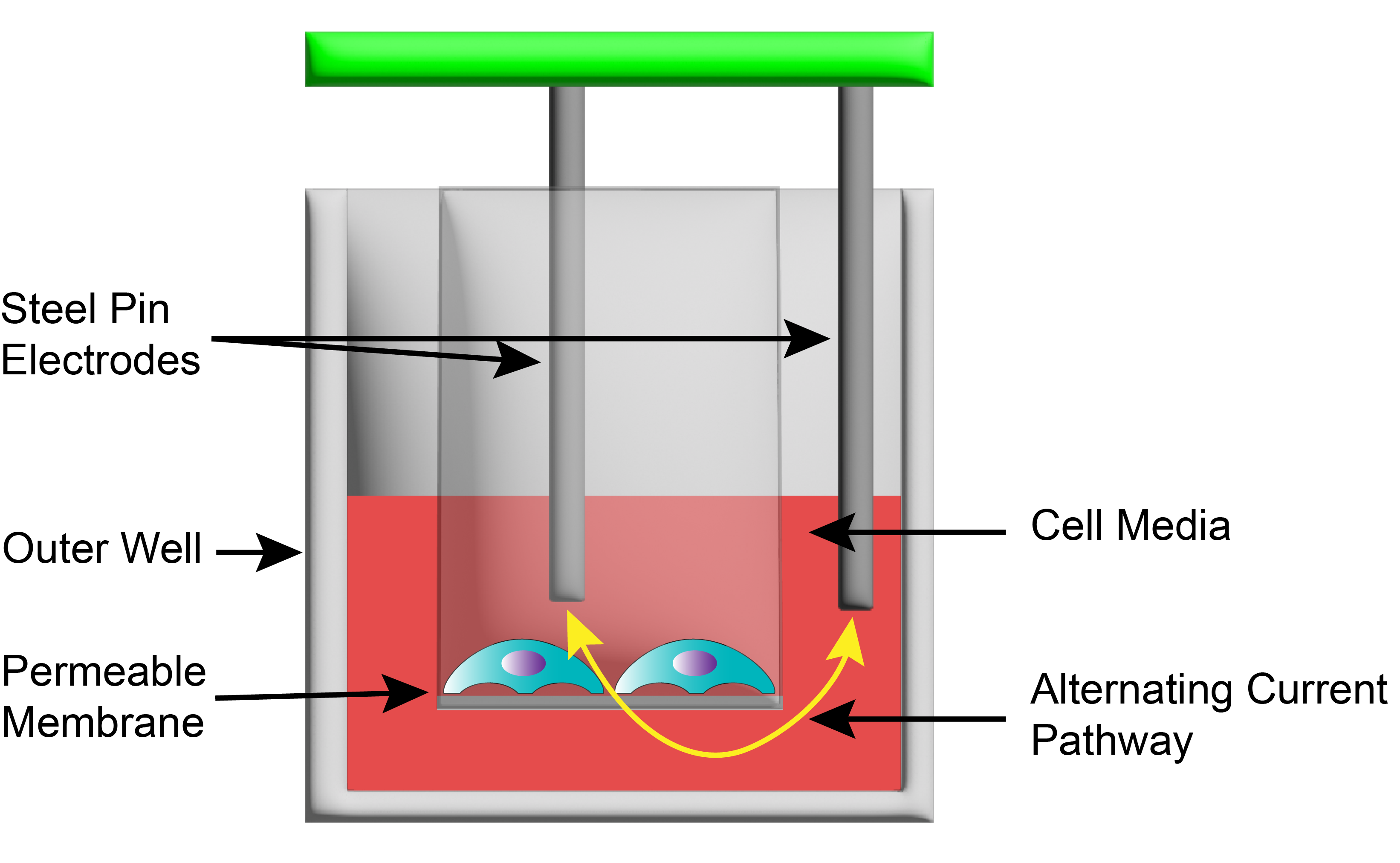 請(qǐng)?zhí)顚憳?biāo)題