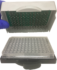 請(qǐng)?zhí)顚憳?biāo)題